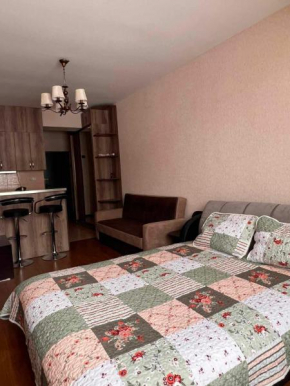 Cozy Apartment in Bakuriani
